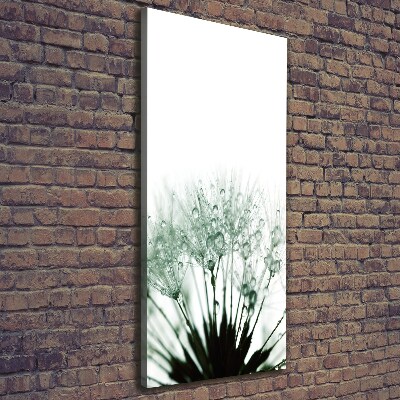 Quadro foto su tela verticale Semi di tarassaco