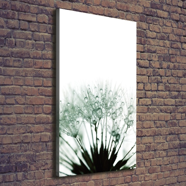 Quadro foto su tela verticale Semi di tarassaco