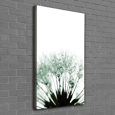 Quadro foto su tela verticale Semi di tarassaco