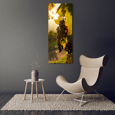 Quadro foto su tela verticale Vigneto
