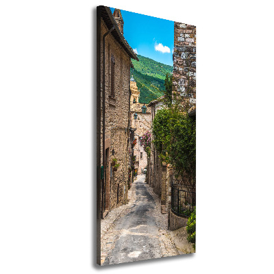 Quadro foto su tela verticale Una strada affascinante