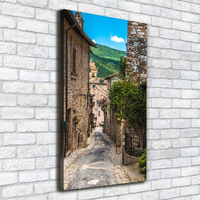Quadro foto su tela verticale Una strada affascinante
