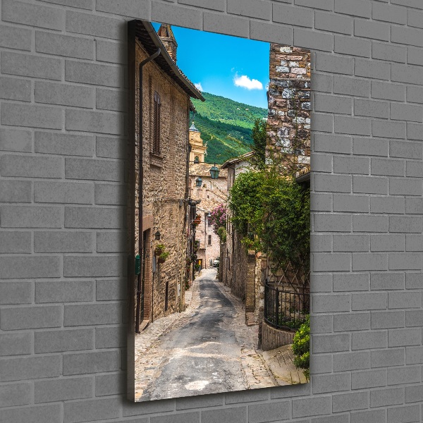 Quadro foto su tela verticale Una strada affascinante