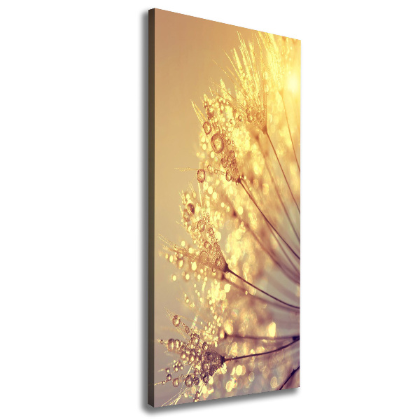 Quadro su tela canvas verticale Semi di tarassaco