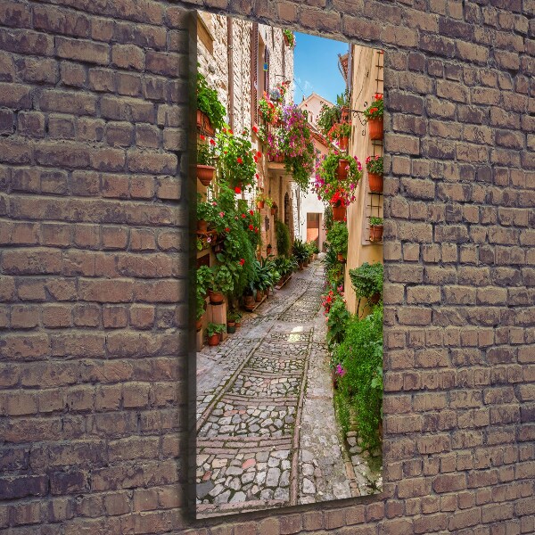 Stampa quadro su tela verticale Umbria Italia