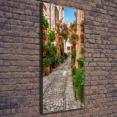 Stampa quadro su tela verticale Umbria Italia