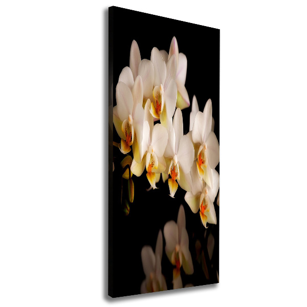 Quadro su tela canvas verticale Orchidea