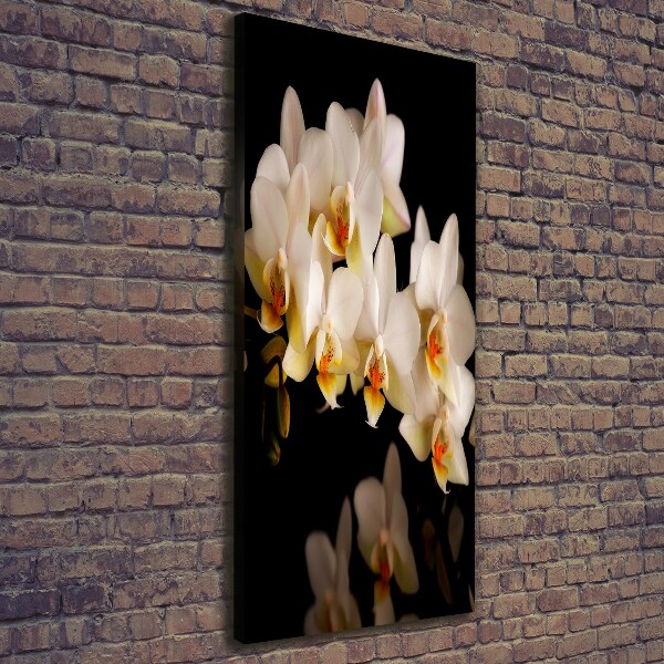 Quadro su tela canvas verticale Orchidea