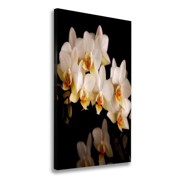 Quadro su tela canvas verticale Orchidea