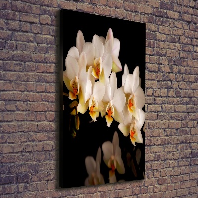 Quadro su tela canvas verticale Orchidea