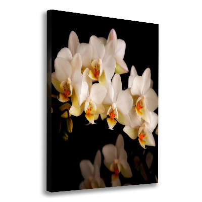 Quadro su tela canvas verticale Orchidea