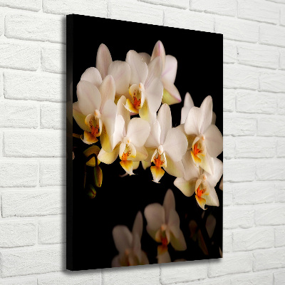 Quadro su tela canvas verticale Orchidea