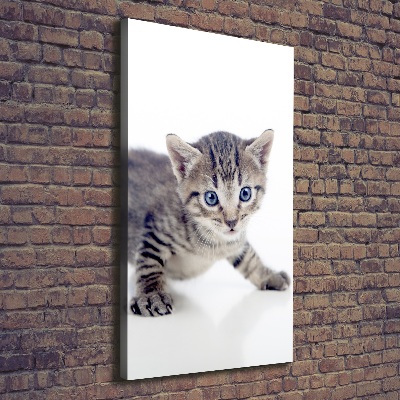Quadro foto su tela verticale Gattino