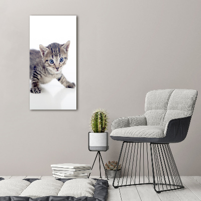 Quadro foto su tela verticale Gattino