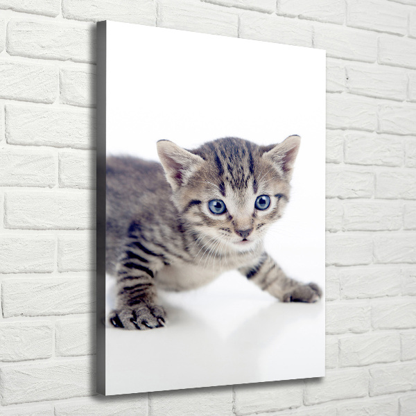 Quadro foto su tela verticale Gattino
