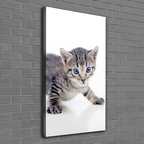 Quadro foto su tela verticale Gattino
