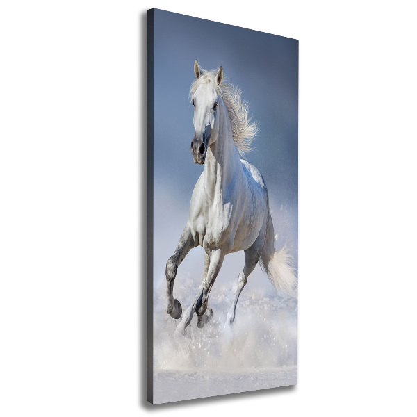 Quadro su tela canvas verticale Un cavallo bianco al galoppo