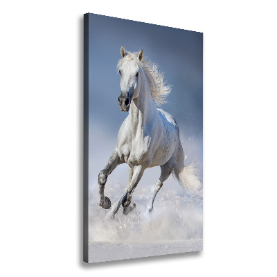 Quadro su tela canvas verticale Un cavallo bianco al galoppo