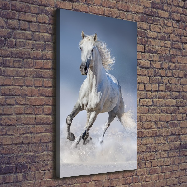 Quadro su tela canvas verticale Un cavallo bianco al galoppo
