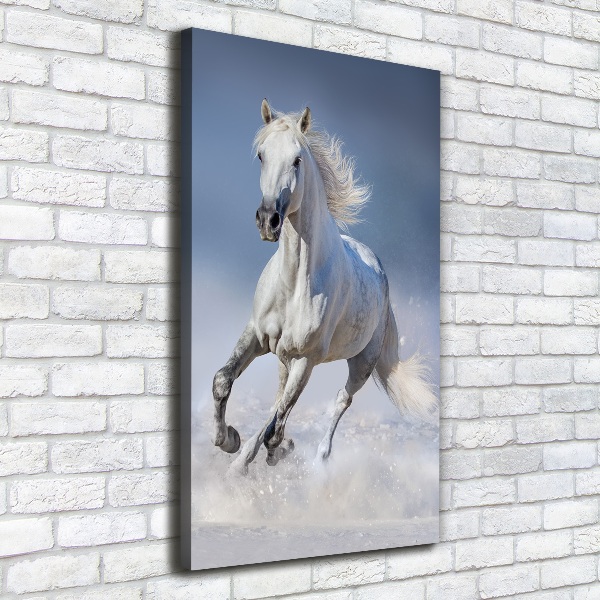 Quadro su tela canvas verticale Un cavallo bianco al galoppo