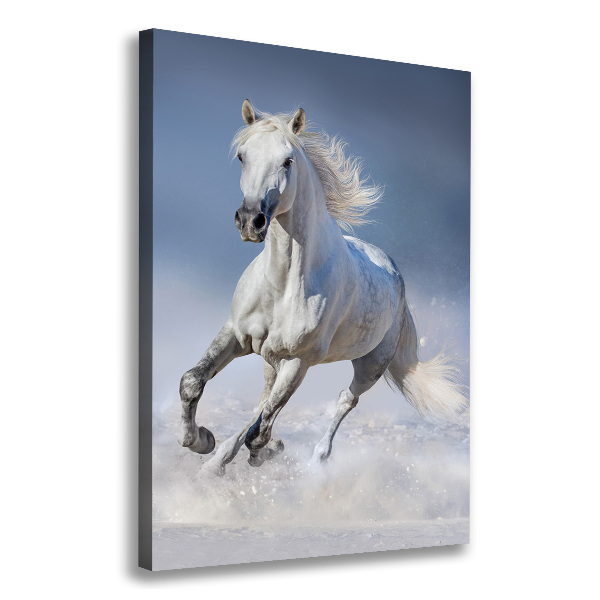 Quadro su tela canvas verticale Un cavallo bianco al galoppo