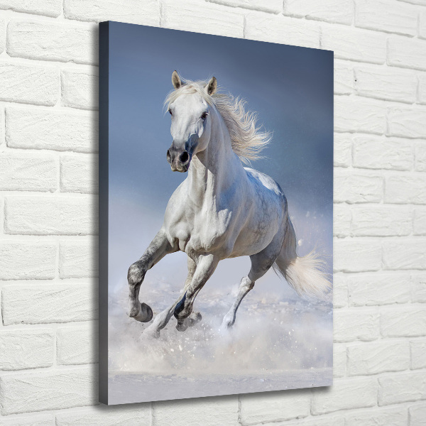 Quadro su tela canvas verticale Un cavallo bianco al galoppo