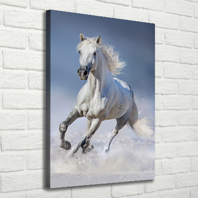 Quadro su tela canvas verticale Un cavallo bianco al galoppo
