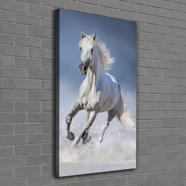 Quadro su tela canvas verticale Un cavallo bianco al galoppo