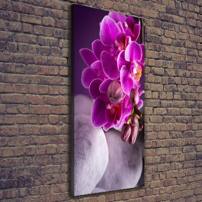 Stampa quadro su tela verticale Orchidea rosa