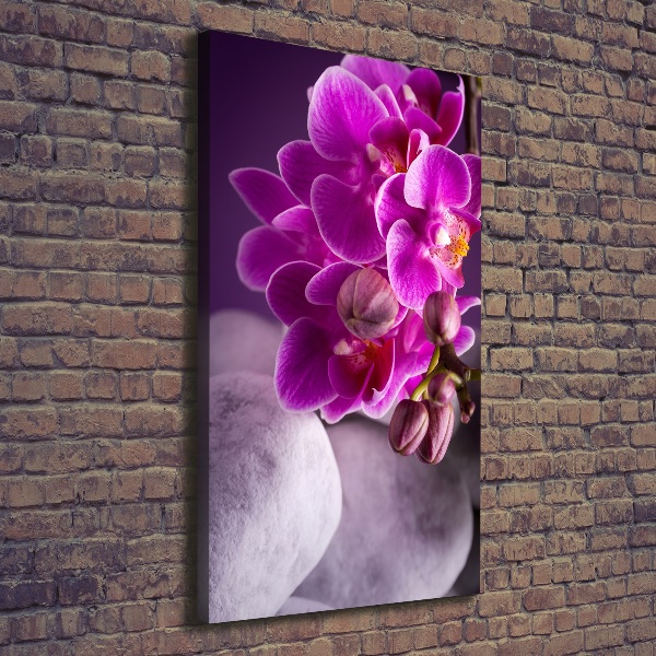 Stampa quadro su tela verticale Orchidea rosa