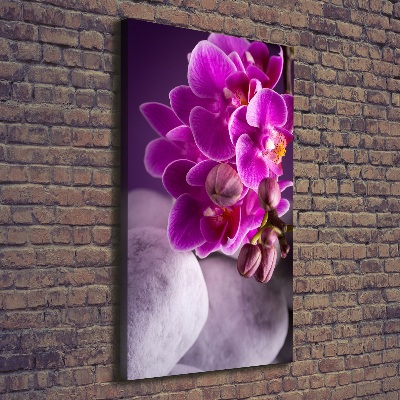 Stampa quadro su tela verticale Orchidea rosa