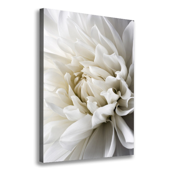 Quadro foto su tela verticale Dalia bianca