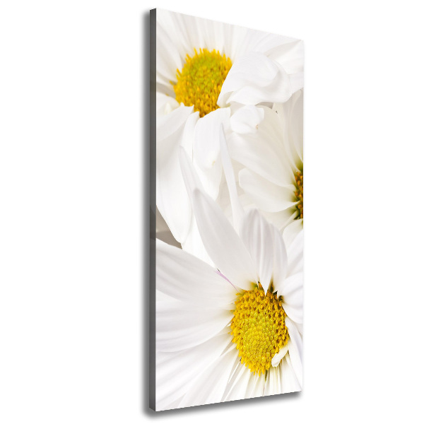 Quadro su tela canvas verticale Margherite