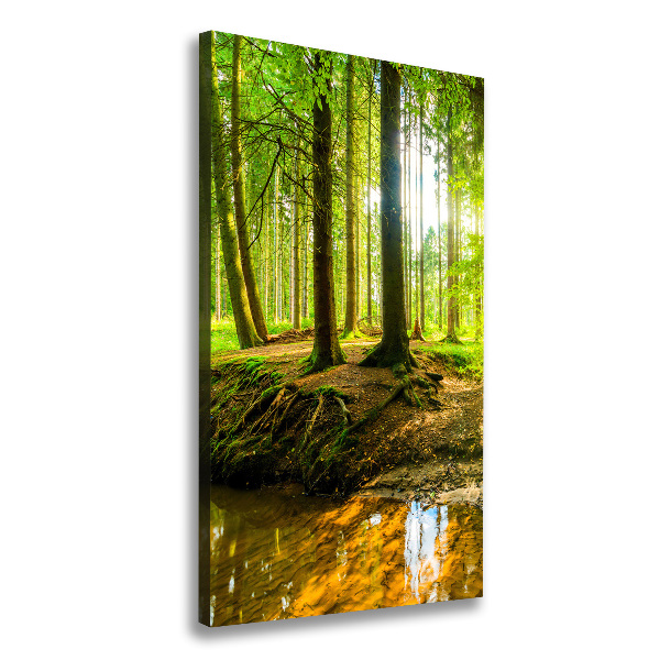 Quadro su tela canvas verticale Un ruscello nella foresta