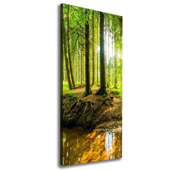 Quadro su tela canvas verticale Un ruscello nella foresta