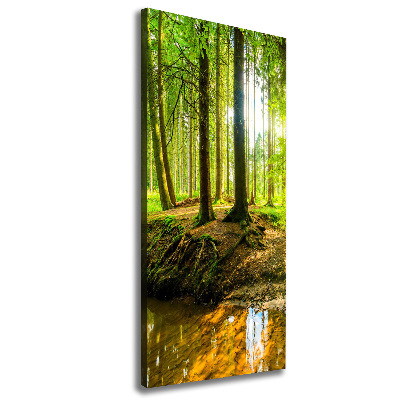 Quadro su tela canvas verticale Un ruscello nella foresta
