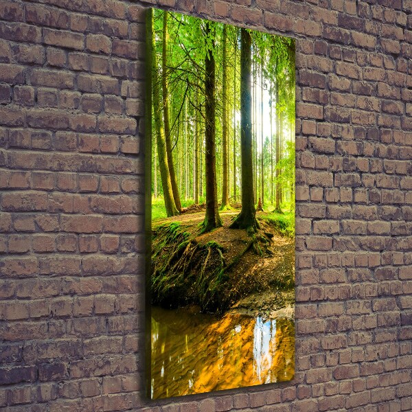 Quadro su tela canvas verticale Un ruscello nella foresta