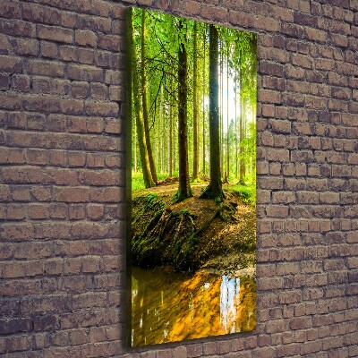 Quadro su tela canvas verticale Un ruscello nella foresta