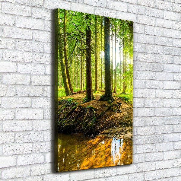 Quadro su tela canvas verticale Un ruscello nella foresta