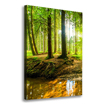Quadro su tela canvas verticale Un ruscello nella foresta