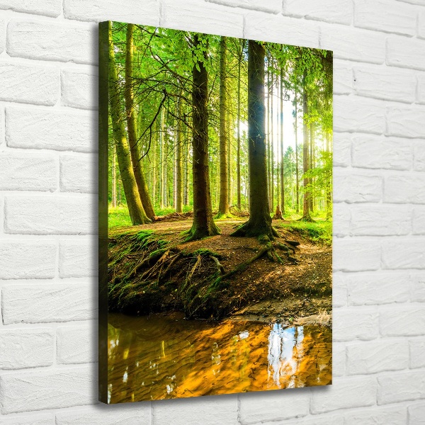 Quadro su tela canvas verticale Un ruscello nella foresta