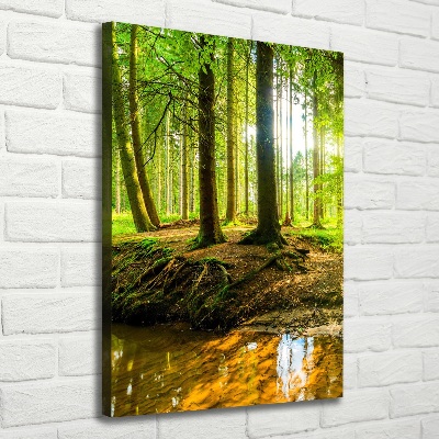 Quadro su tela canvas verticale Un ruscello nella foresta