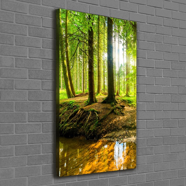 Quadro su tela canvas verticale Un ruscello nella foresta