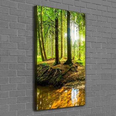 Quadro su tela canvas verticale Un ruscello nella foresta