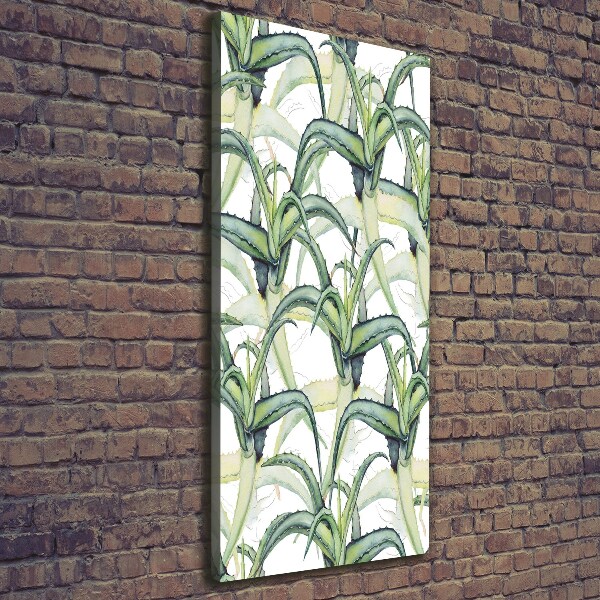 Stampa quadro su tela verticale Aloe