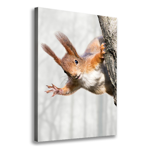 Stampa quadro su tela verticale Scoiattolo su un albero