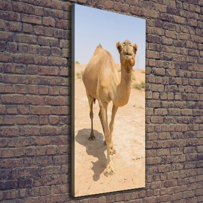 Quadro foto su tela verticale Cammello nel deserto