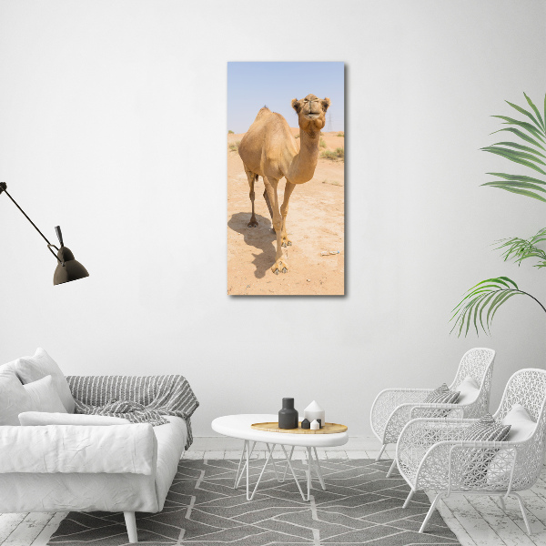 Quadro foto su tela verticale Cammello nel deserto