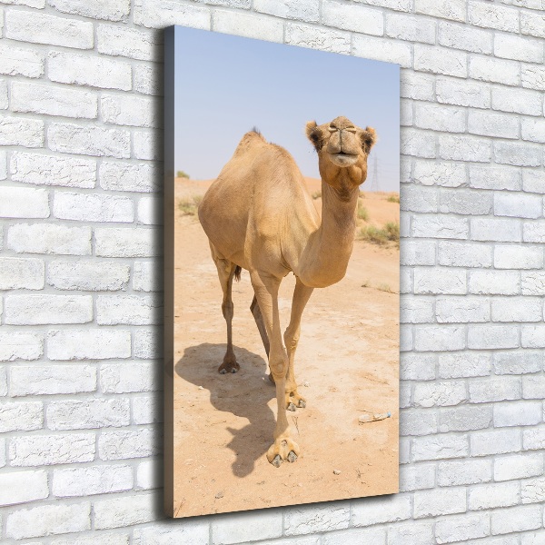 Quadro foto su tela verticale Cammello nel deserto