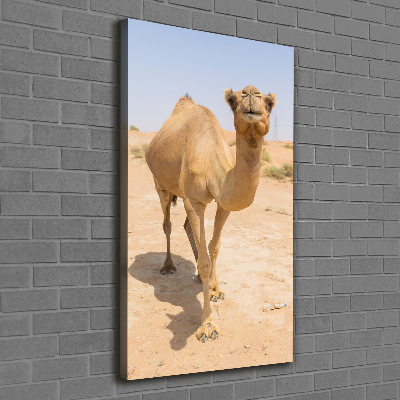 Quadro foto su tela verticale Cammello nel deserto